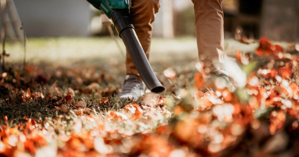 conseils d'entretien de la cour à l'automne